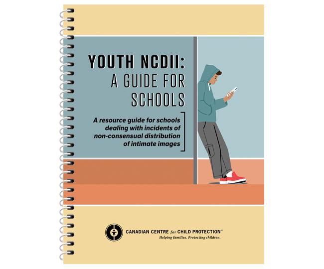 Youth NCDII: A guide for schools